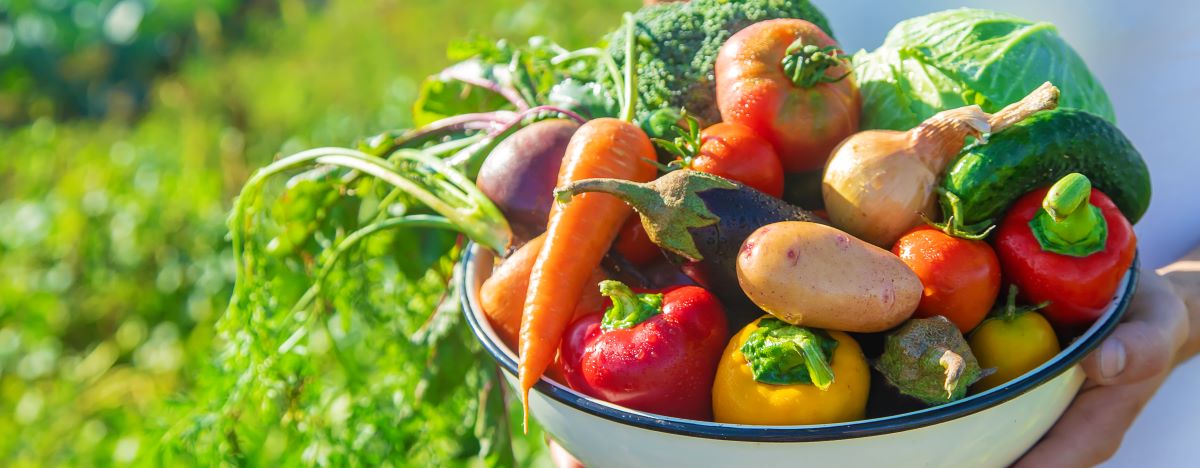 Saisonkalender Deutschland: Obst & Gemüse nach Jahreszeit