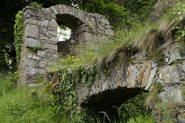 image gallery 1