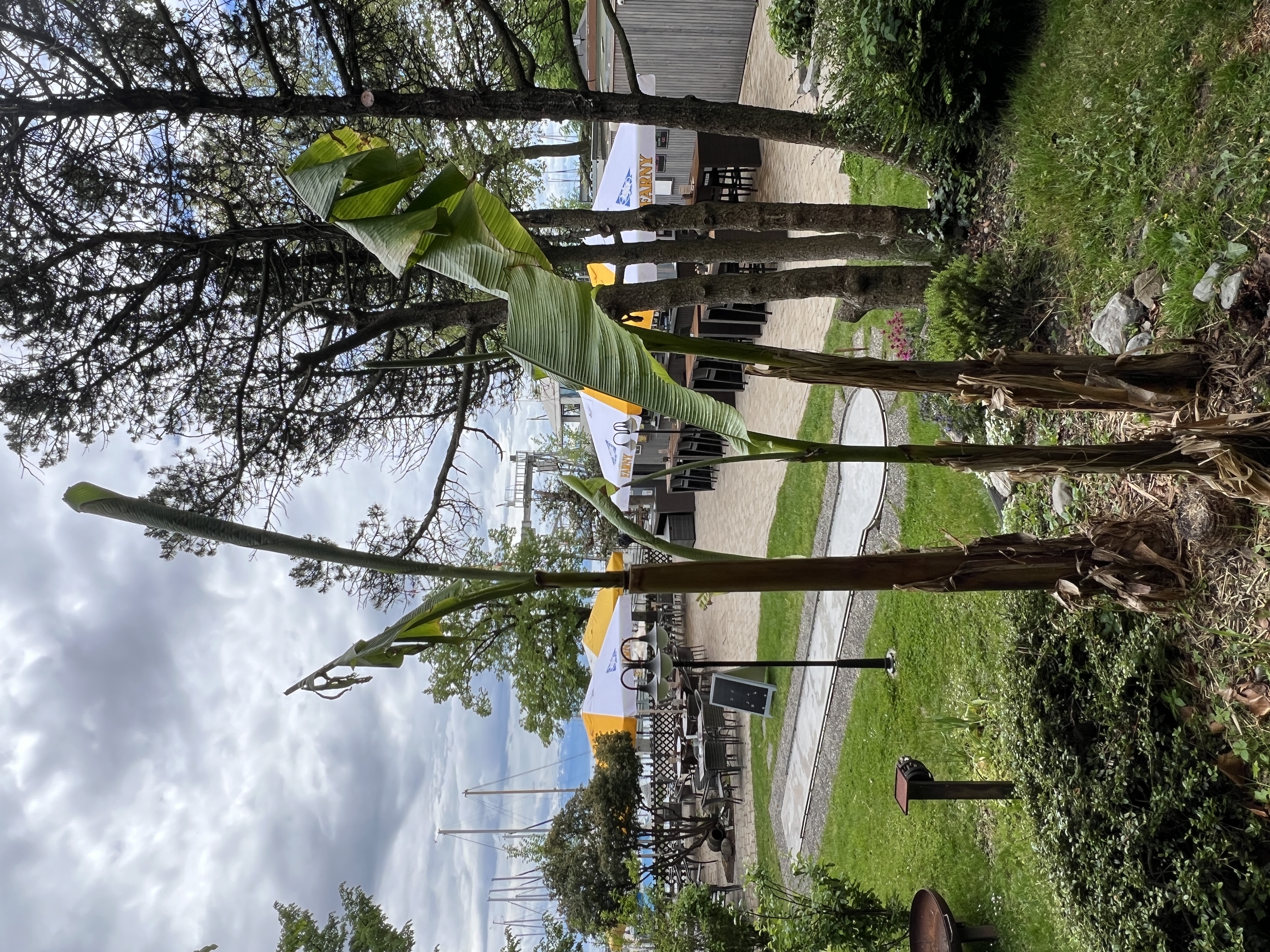 Blick auf Biergarten und Bahn 1, am Bananenhain 